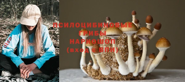 гашишное масло Касимов